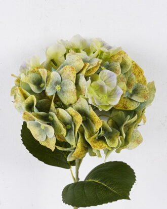 Artificial Flower 18*13*64cm Hydrangea single stem/moist real touch GS-71326002-Y2 2026Aug 3,000+ sqm showroom with thousands of artificial flowers, plants & trees ready for global sourcing. Artificial Flower 18*13*64cm Hydrangea single stem/moist real touch GS-71326002-Y2 2026Aug 3,000+ sqm showroom with thousands of artificial flowers, plants & trees ready for global sourcing.