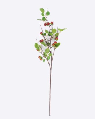 Artificial Flower 18*4*95cm Indian strawberry single stem GS-59026005 2026Aug 3,000+ sqm showroom with thousands of artificial flowers, plants & trees ready for global sourcing. Artificial Flower 18*4*95cm Indian strawberry single stem GS-59026005 2026Aug 3,000+ sqm showroom with thousands of artificial flowers, plants & trees ready for global sourcing.