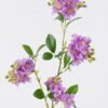 Artificial Flower Jasmine single stem GS-83526001-Z1_1 Artificial Flower 19*7*74cm Jasmine single stem GS-83526001-Z1 2026SEP 3,000+ sqm showroom with thousands of artificial flowers, plants & trees ready for global sourcing.