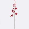 Artificial Flower Koelreuteria paniculata single stem GS-35126014-R1 Artificial Flower 14*5*106cm Koelreuteria paniculata single stem GS-35126014-R1 2026Jul 3,000+ sqm showroom with thousands of artificial flowers, plants & trees ready for global sourcing.