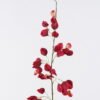 Artificial Flower Koelreuteria paniculata single stem GS-35126014-R1_1 Artificial Flower 14*5*106cm Koelreuteria paniculata single stem GS-35126014-R1 2026Jul 3,000+ sqm showroom with thousands of artificial flowers, plants & trees ready for global sourcing.