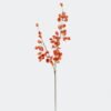 Artificial Flower Koelreuteria paniculata single stem GS-35126015-O1_3 Artificial Flower 17*7*122cm Koelreuteria paniculata single stem GS-35126015-O1 2026Jul 3,000+ sqm showroom with thousands of artificial flowers, plants & trees ready for global sourcing.