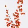 Artificial Flower Koelreuteria paniculata single stem GS-35126015-O1_4 Artificial Flower 17*7*122cm Koelreuteria paniculata single stem GS-35126015-O1 2026Jul 3,000+ sqm showroom with thousands of artificial flowers, plants & trees ready for global sourcing.