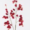 Artificial Flower Koelreuteria paniculata single stem GS-35126015-R1_1 Artificial Flower 17*7*122cm Koelreuteria paniculata single stem GS-35126015-R1 2026Jul 3,000+ sqm showroom with thousands of artificial flowers, plants & trees ready for global sourcing.
