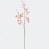Artificial Flower Koelreuteria paniculata single stem GS-35126015_3 Artificial Flower 17*7*122cm Koelreuteria paniculata single stem GS-35126015 2026Jul 3,000+ sqm showroom with thousands of artificial flowers, plants & trees ready for global sourcing.