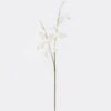 Artificial Flower Koelreuteria paniculata single stem GS-35126015_7 Artificial Flower 17*7*122cm Koelreuteria paniculata single stem GS-35126015 2026Jul 3,000+ sqm showroom with thousands of artificial flowers, plants & trees ready for global sourcing.