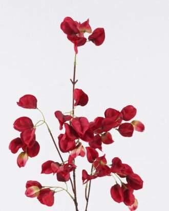 Artificial Flower 14*7*88cm Koelreuteria paniculata single stem GS-35126022-R1 2026Jul 3,000+ sqm showroom with thousands of artificial flowers, plants & trees ready for global sourcing. Artificial Flower 14*7*88cm Koelreuteria paniculata single stem GS-35126022-R1 2026Jul 3,000+ sqm showroom with thousands of artificial flowers, plants & trees ready for global sourcing.