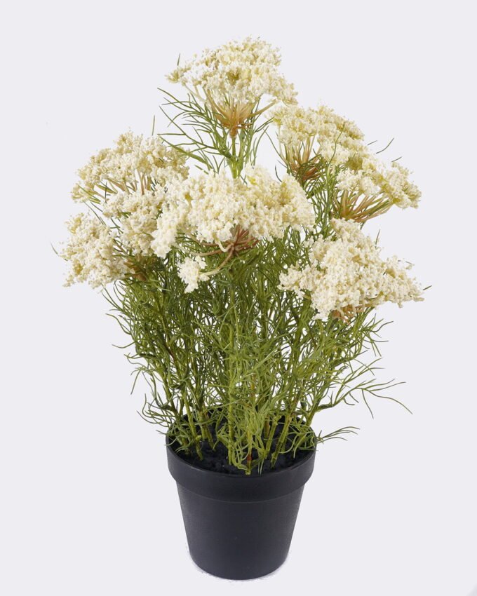 Artificial Flower 26*13*44cm Lace flower *7 in PP pot GS-15426007-W1 2026Jun 3,000+ sqm showroom with thousands of artificial flowers, plants & trees ready for global sourcing.