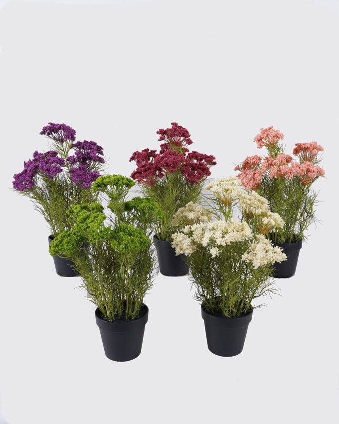 Artificial Flower 26*13*44cm Lace flower *7 in PP pot GS-15426007 2026Jun 3,000+ sqm showroom with thousands of artificial flowers, plants & trees ready for global sourcing.