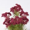 Artificial Flower 26*13*44cm Lace flower *7 in PP pot GS-15426007 2026Jun 3,000+ sqm showroom with thousands of artificial flowers, plants & trees ready for global sourcing.