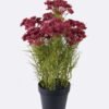 Artificial Flower 26*13*44cm Lace flower *7 in PP pot GS-15426007 2026Jun 3,000+ sqm showroom with thousands of artificial flowers, plants & trees ready for global sourcing.