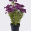 Artificial Flower 26*13*44cm Lace flower *7 in PP pot GS-15426007 2026Jun 3,000+ sqm showroom with thousands of artificial flowers, plants & trees ready for global sourcing.