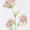 Artificial Flower Lace flower single stem GS-35126012_3 Artificial Flower 21*8*87cm Lace flower single stem GS-35126012 2026Jul 3,000+ sqm showroom with thousands of artificial flowers, plants & trees ready for global sourcing.