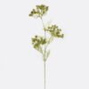 Artificial Flower Lace flower single stem GS-35126012_5 Artificial Flower 21*8*87cm Lace flower single stem GS-35126012 2026Jul 3,000+ sqm showroom with thousands of artificial flowers, plants & trees ready for global sourcing.
