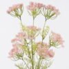 Artificial Flower Lace flower single stem GS-35126013-P1_1 Artificial Flower 25*14*87cm Lace flower single stem GS-35126013-P1 2026Jul 3,000+ sqm showroom with thousands of artificial flowers, plants & trees ready for global sourcing.