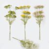 Artificial Flower Lace flower single stem GS-35126013_2 Artificial Flower 25*14*87cm Lace flower single stem GS-35126013 2026Jul 3,000+ sqm showroom with thousands of artificial flowers, plants & trees ready for global sourcing.