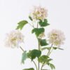 Artificial Flower Lagerstroemia indica 3 single stem GS-48226005-P2_1 Artificial Flower 18*5*63cm Lagerstroemia indica *3 single stem GS-48226005-P2 2026Aug 3,000+ sqm showroom with thousands of artificial flowers, plants & trees ready for global sourcing.