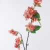 Artificial Flower Large Bougainvillea single stem GS-23126005-O1_3 Artificial Flower 26*6*102cm Large Bougainvillea single stem GS-23126005-O1 2026Jul 3,000+ sqm showroom with thousands of artificial flowers, plants & trees ready for global sourcing.