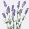 Artificial Flower 18*6*60cm Lavender *3 bundle GS-01126013 2026Jun 3,000+ sqm showroom with thousands of artificial flowers, plants & trees ready for global sourcing.