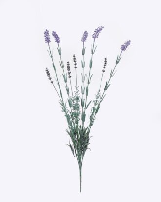 Artificial Flower 15*5*74cm Lavender *9 bush GS-01126011 2026Jun 3,000+ sqm showroom with thousands of artificial flowers, plants & trees ready for global sourcing. Artificial Flower 15*5*74cm Lavender *9 bush GS-01126011 2026Jun 3,000+ sqm showroom with thousands of artificial flowers, plants & trees ready for global sourcing.