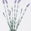 Artificial Flower Lavender 9 bush GS-01126011_1 Artificial Flower 15*5*74cm Lavender *9 bush GS-01126011 2026Jun 3,000+ sqm showroom with thousands of artificial flowers, plants & trees ready for global sourcing.
