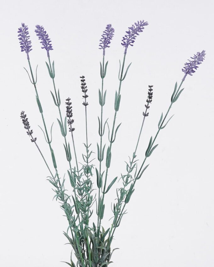 Artificial Flower 15*5*74cm Lavender *9 bush GS-01126011 2026Jun 3,000+ sqm showroom with thousands of artificial flowers, plants & trees ready for global sourcing.