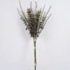 Artificial Flower 25*9*91cm Lavender bundle GS-37526011 2026Jul 3,000+ sqm showroom with thousands of artificial flowers, plants & trees ready for global sourcing.