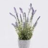 Artificial Flower Lavender in Cement pot GS-03326126_3 Artificial Flower 25*25*44cm Lavender in Cement pot GS-03326126 2026Jun 3,000+ sqm showroom with thousands of artificial flowers, plants & trees ready for global sourcing.