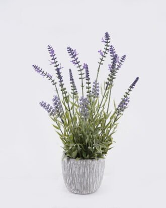 Artificial Flower 25*25*44cm Lavender in Cement pot GS-03326126 2026Jun 3,000+ sqm showroom with thousands of artificial flowers, plants & trees ready for global sourcing. Artificial Flower 25*25*44cm Lavender in Cement pot GS-03326126 2026Jun 3,000+ sqm showroom with thousands of artificial flowers, plants & trees ready for global sourcing.
