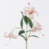 Artificial Flower Lily 3 single stem GS-64925035-C1_2 Artificial Flower 20*10*72cm Lily *3 single stem GS-64925035-C1 2026Aug 3,000+ sqm showroom with thousands of artificial flowers, plants & trees ready for global sourcing.