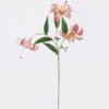 Artificial Flower Lily 3 single stem GS-64925035-R2 Artificial Flower 20*10*72cm Lily *3 single stem GS-64925035-R2 2026Aug 3,000+ sqm showroom with thousands of artificial flowers, plants & trees ready for global sourcing.