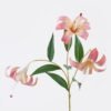 Artificial Flower Lily 3 single stem GS-64925035-R2_1 Artificial Flower 20*10*72cm Lily *3 single stem GS-64925035-R2 2026Aug 3,000+ sqm showroom with thousands of artificial flowers, plants & trees ready for global sourcing.