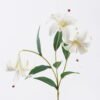 Artificial Flower 20*10*72cm Lily *3 single stem GS-64925035-W2 2026Aug 3,000+ sqm showroom with thousands of artificial flowers, plants & trees ready for global sourcing.