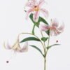 Artificial Flower Lily 3 single stem GS-64925035-W3_1 Artificial Flower 20*10*72cm Lily *3 single stem GS-64925035-W3 2026Aug 3,000+ sqm showroom with thousands of artificial flowers, plants & trees ready for global sourcing.