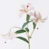 Artificial Flower Lily 3 single stem GS-64925035-W4_1 Artificial Flower 20*10*72cm Lily *3 single stem GS-64925035-W4 2026Aug 3,000+ sqm showroom with thousands of artificial flowers, plants & trees ready for global sourcing.