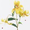 Artificial Flower Lily 3 single stem GS-64925035-Y2_1 Artificial Flower 20*10*72cm Lily *3 single stem GS-64925035-Y2 2026Aug 3,000+ sqm showroom with thousands of artificial flowers, plants & trees ready for global sourcing.