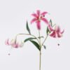 Artificial Flower Lily 3 single stem GS-64925035_2 Artificial Flower 20*10*72cm Lily *3 single stem GS-64925035 2026Aug 3,000+ sqm showroom with thousands of artificial flowers, plants & trees ready for global sourcing.