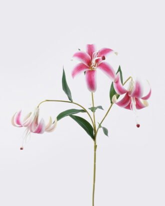 Artificial Flower 20*10*72cm Lily *3 single stem GS-64925035 2026Aug 3,000+ sqm showroom with thousands of artificial flowers, plants & trees ready for global sourcing. Artificial Flower 20*10*72cm Lily *3 single stem GS-64925035 2026Aug 3,000+ sqm showroom with thousands of artificial flowers, plants & trees ready for global sourcing.