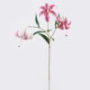 Artificial Flower Lily 3 single stem GS-64925035_3 Artificial Flower 20*10*72cm Lily *3 single stem GS-64925035 2026Aug 3,000+ sqm showroom with thousands of artificial flowers, plants & trees ready for global sourcing.