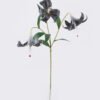 Artificial Flower Lily 3 single stem GS-64925035_5 Artificial Flower 20*10*72cm Lily *3 single stem GS-64925035 2026Aug 3,000+ sqm showroom with thousands of artificial flowers, plants & trees ready for global sourcing.