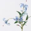 Artificial Flower Lily 5 single stem GS-64925036-B1_1 Artificial Flower 22*12*72cm Lily *5 single stem GS-64925036-B1 2026Aug 3,000+ sqm showroom with thousands of artificial flowers, plants & trees ready for global sourcing.
