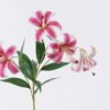Artificial Flower Lily 5 single stem GS-64925036-R1_1 Artificial Flower 22*12*72cm Lily *5 single stem GS-64925036-R1 2026Aug 3,000+ sqm showroom with thousands of artificial flowers, plants & trees ready for global sourcing.