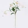Artificial Flower Lily 5 single stem GS-64925036-W2 Artificial Flower 22*12*72cm Lily *5 single stem GS-64925036-W2 2026Aug 3,000+ sqm showroom with thousands of artificial flowers, plants & trees ready for global sourcing.