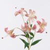 Artificial Flower Lily 5 single stem GS-64925036_2 Artificial Flower 22*12*72cm Lily *5 single stem GS-64925036 2026Aug 3,000+ sqm showroom with thousands of artificial flowers, plants & trees ready for global sourcing.