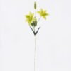 Artificial Flower Lily single stem GS-16826018-G1 Artificial Flower 14*9*71cm Lily single stem GS-16826018-G1 2026Jul 3,000+ sqm showroom with thousands of artificial flowers, plants & trees ready for global sourcing.