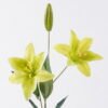 Artificial Flower Lily single stem GS-16826018-G1_1 Artificial Flower 14*9*71cm Lily single stem GS-16826018-G1 2026Jul 3,000+ sqm showroom with thousands of artificial flowers, plants & trees ready for global sourcing.