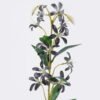 Artificial Flower 10*8*74cm Lily  single stem GS-64925037 2026Aug 3,000+ sqm showroom with thousands of artificial flowers, plants & trees ready for global sourcing.