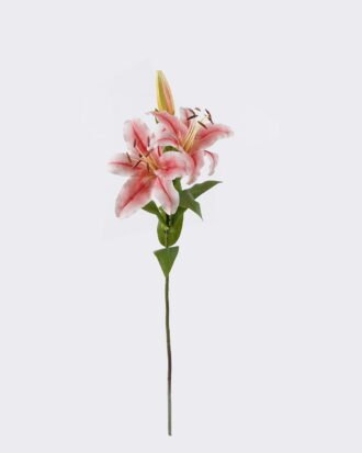 Artificial Flower 26*14*89cm Lily single stem /moist real touch GS-79826004-P2 2026SEP 3,000+ sqm showroom with thousands of artificial flowers, plants & trees ready for global sourcing. Artificial Flower 26*14*89cm Lily single stem /moist real touch GS-79826004-P2 2026SEP 3,000+ sqm showroom with thousands of artificial flowers, plants & trees ready for global sourcing.