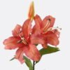 Artificial Flower Lily single stem moist real touch GS-79826004_2 Artificial Flower 26*14*89cm Lily single stem /moist real touch GS-79826004 2026SEP 3,000+ sqm showroom with thousands of artificial flowers, plants & trees ready for global sourcing.