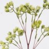 Artificial Flower Lingling Flower 12 single stem GS-59126010-G1_1 Artificial Flower 15*5*54cm Lingling Flower *12 single stem GS-59126010-G1 2026Aug 3,000+ sqm showroom with thousands of artificial flowers, plants & trees ready for global sourcing.
